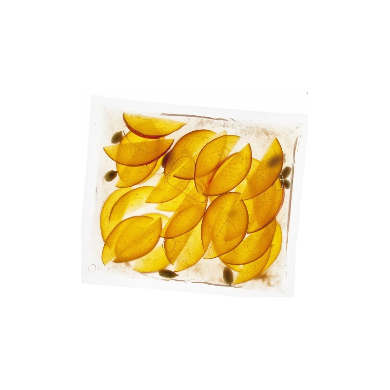 Sacchetti per Sottovuoto (Confezione 200pz) Sacchetti per Sottovuoto (Confezione 200pz)