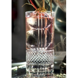 Bicchiere Tumbler Brillante (confezione da 6 pz.)