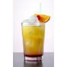 Bicchiere Rock Juice per Long Drink