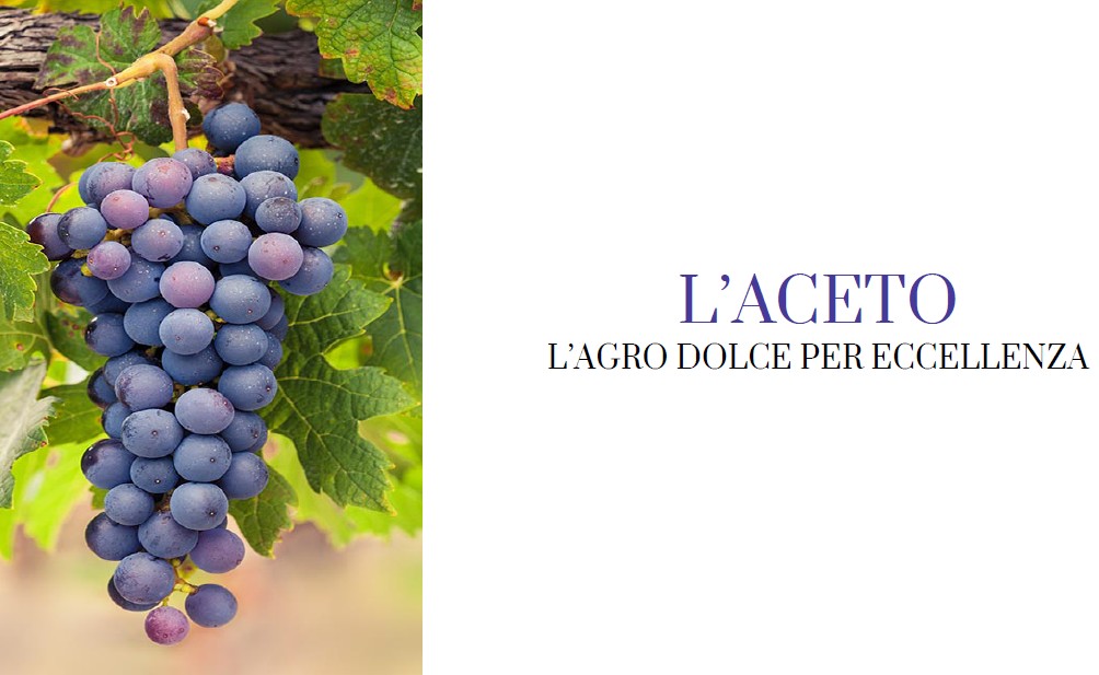 Mediterranean Drink: la dieta alcolica mediterranea