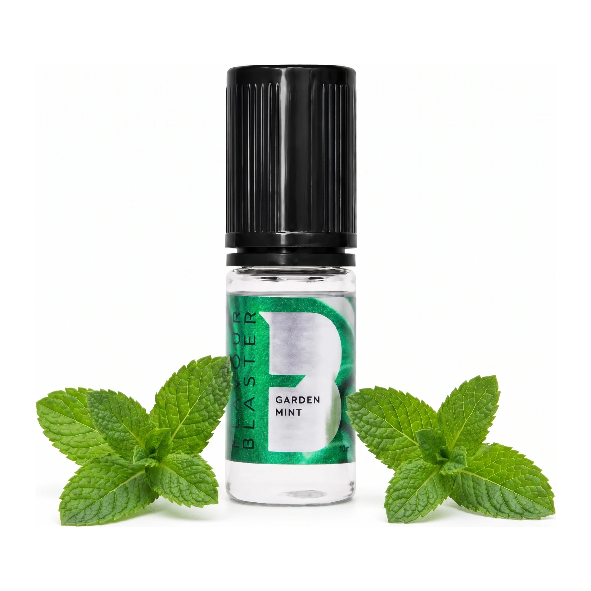 Aroma Flavour Blaster giardino di menta 10 ml, con due rametti di menta fresca