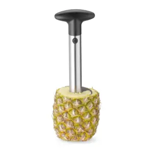 Taglia ananas avvitato nel frutto con il guscio intorno